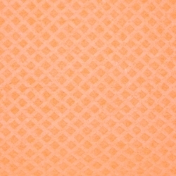 Schwammtuch trocken 257x315mm 1x Stück -orange-
